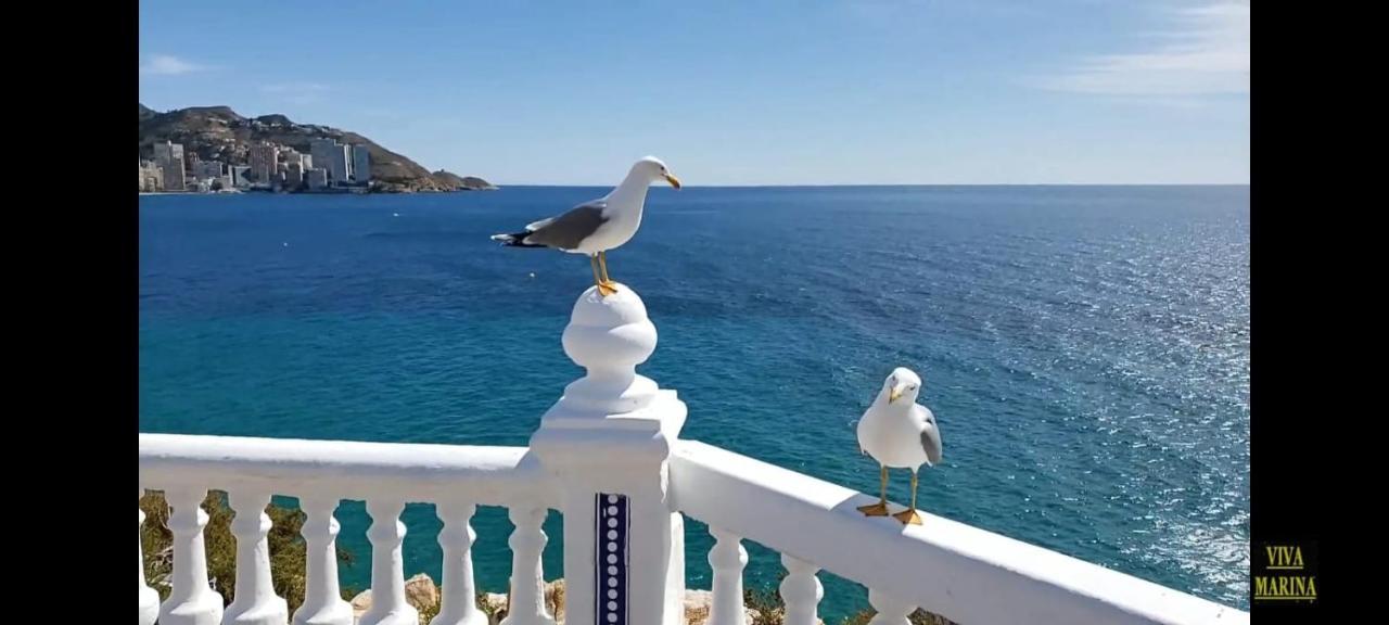 Apartamento Sun Beach Benidorm Exterior foto